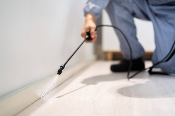 Licensed Termite Control service in Stanton, TX - Nex Pest Control