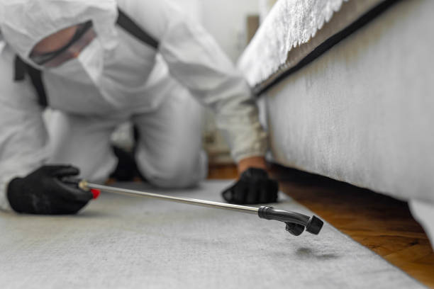 Professional Termite Control technician working in Stanton, TX