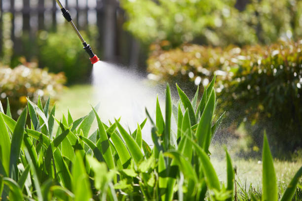 24/7 Emergency Termite Control experts in Stanton, TX