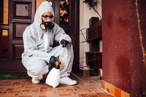 Reliable Termite Control contractor in Stanton, TX by Nex Pest Control
